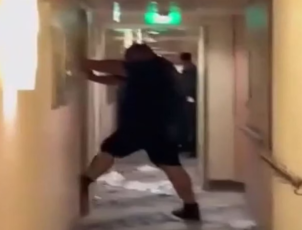 Passageiro bêbado agride tripulação de cruzeiro, é sedado e morre (Foto Reprodução Redes Sociais)