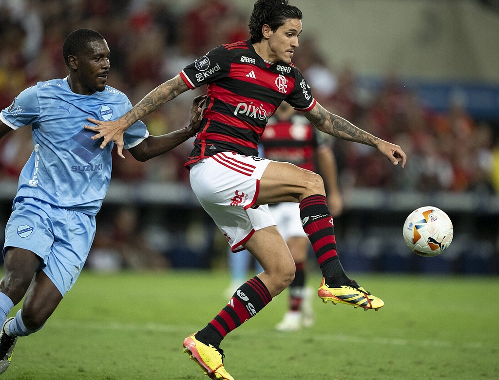Flamengo (foto Reprodução Redes Sociais)