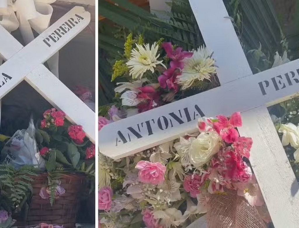 Gêmeas (foto Reprodução Redes Sociais) 1