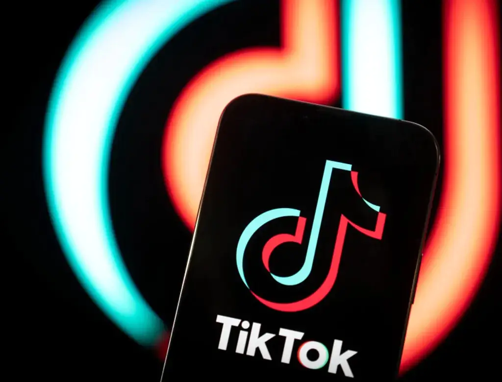 Tiktok (foto Reprodução Redes Sociais) 4