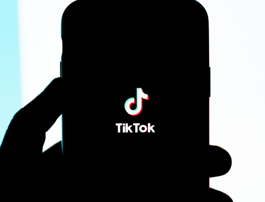 Tiktok (foto Reprodução Redes Sociais)