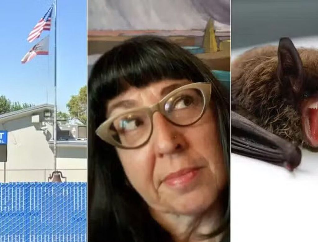 Professora Mordida Morcego Gogle Redes Sociais Widexl(1)