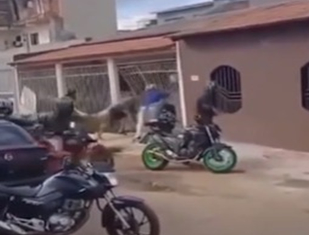 Briga (foto Reprodução Redes Sociais) 1