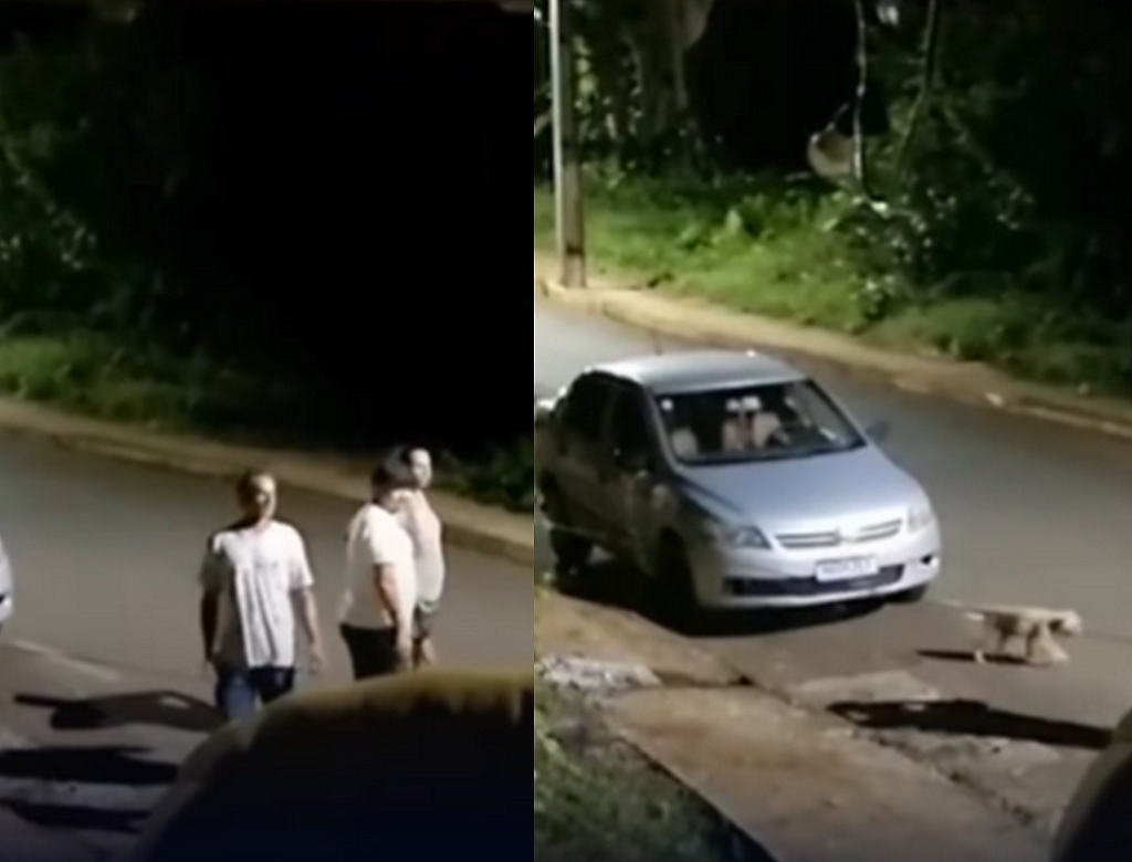 Crime (foto Reprodução Redes Sociais) 1