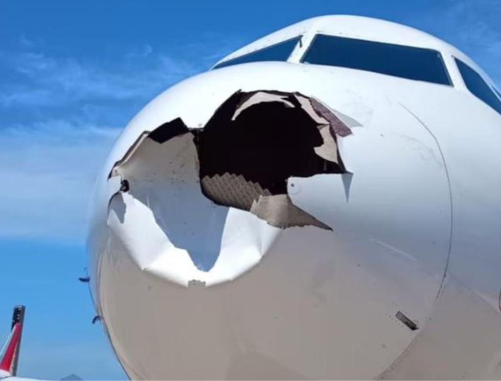 Avião (Foto Reprodução Redes Sociais)