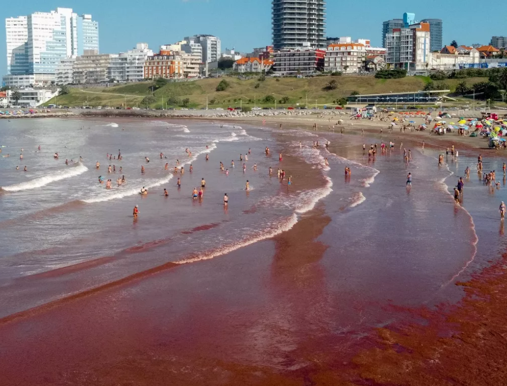Mar sangue (Foto Reprodução Redes Sociais)