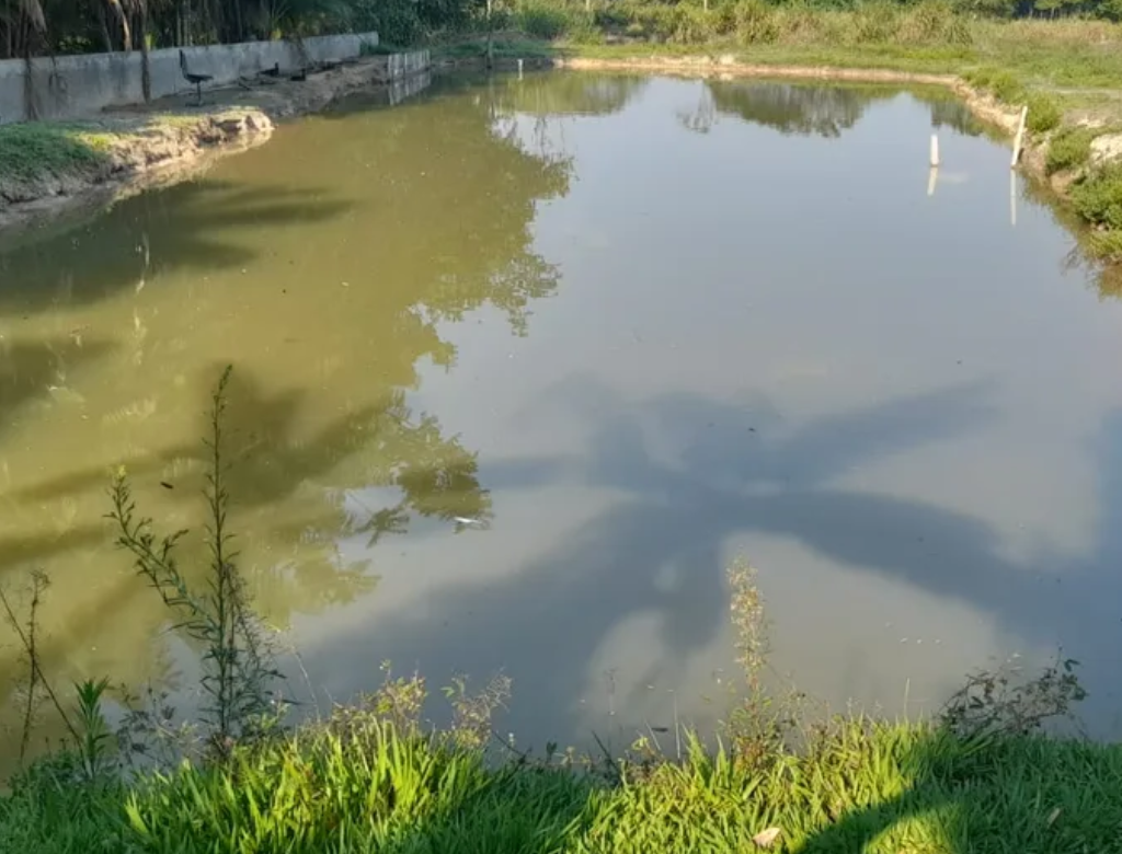 Menino de 2 anos morre após cair em tanque de peixes (Foto Reprodução Redes Sociais)