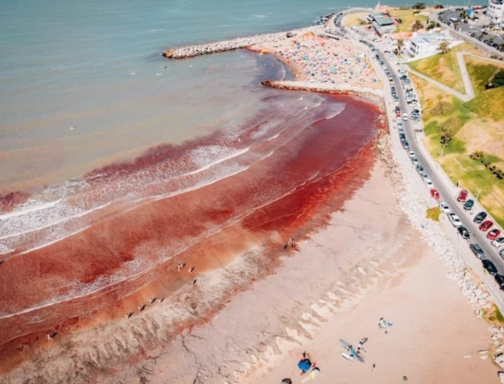 Mar Sangue (foto Reprodução Redes Sociais)