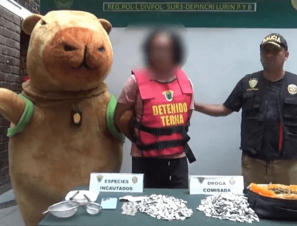 Policial (foto Reprodução Redes Sociais)