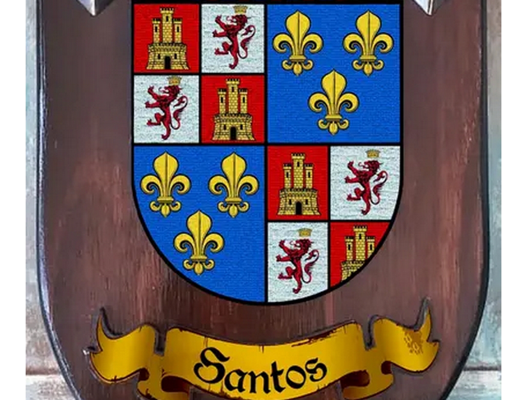 Santos (foto Reprodução Redes Sociais)