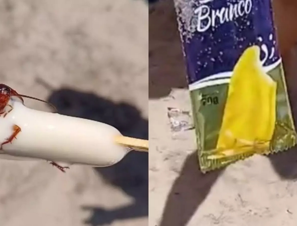 Barata (foto Reprodução Redes Sociais) 2