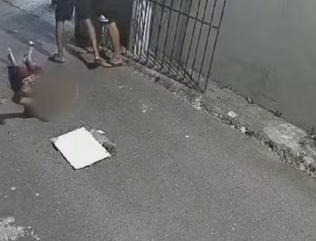 Briga (foto Reprodução Redes Sociais) 1