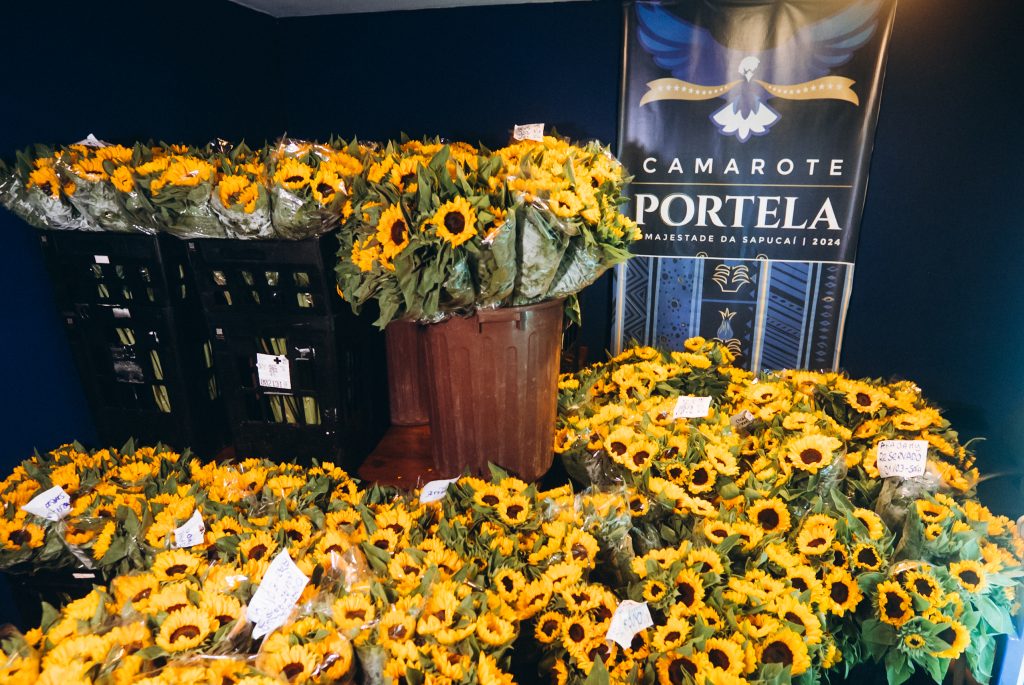 Camaroteportela 1