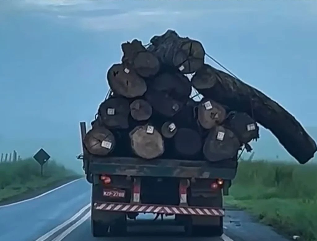 Caminhão (foto Reprodução Redes Sociais)