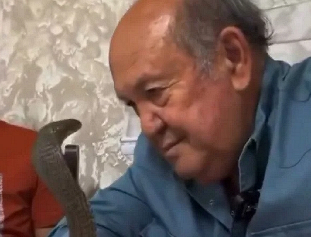 Cobra (foto Reprodução Redes Sociais) 4