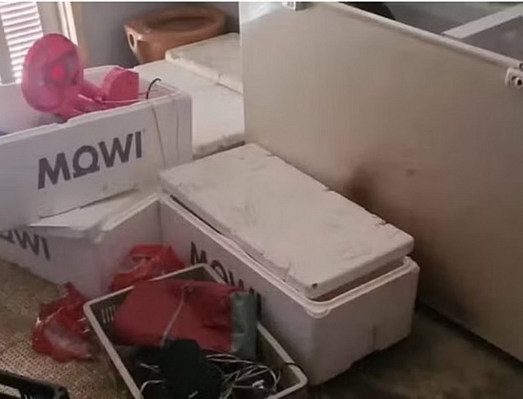 Freezer (Foto Reprodução Redes Sociais) 1