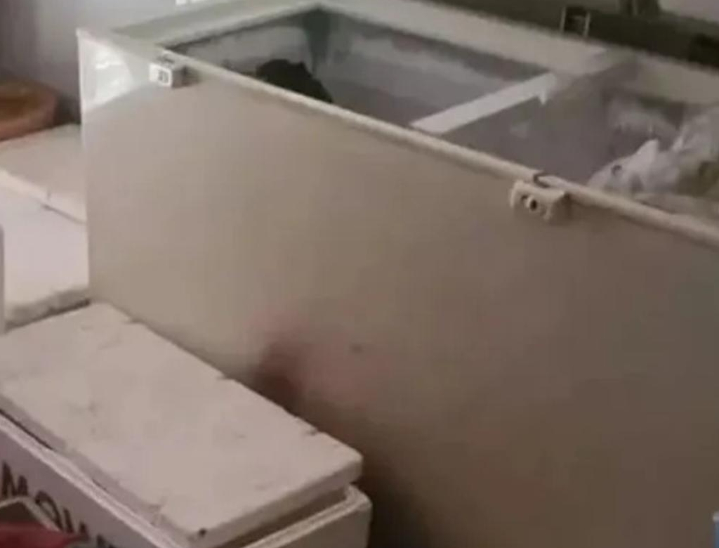 Freezer Foto Reprodução Redes Sociais) 2