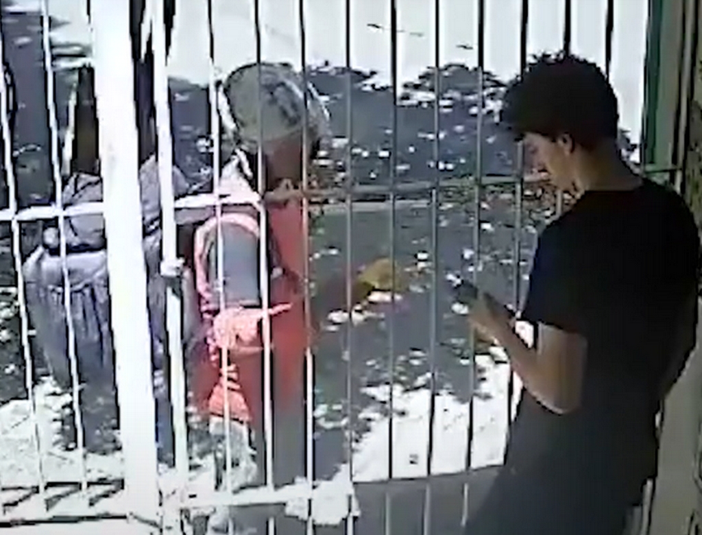 Golpe (foto Reprodução Redes Sociais) 1
