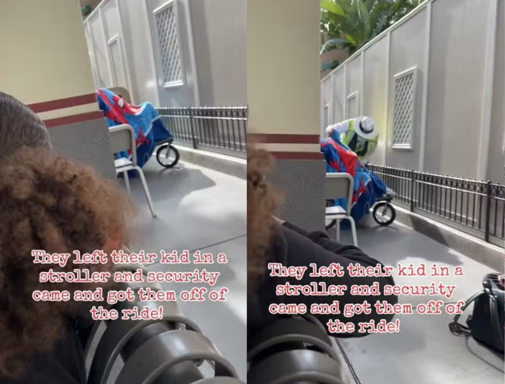 Pais Deixam Bebê Sozinho Em Carrinho Para Curtir Atração Na Disney (foto Reprodução Redes Sociais)