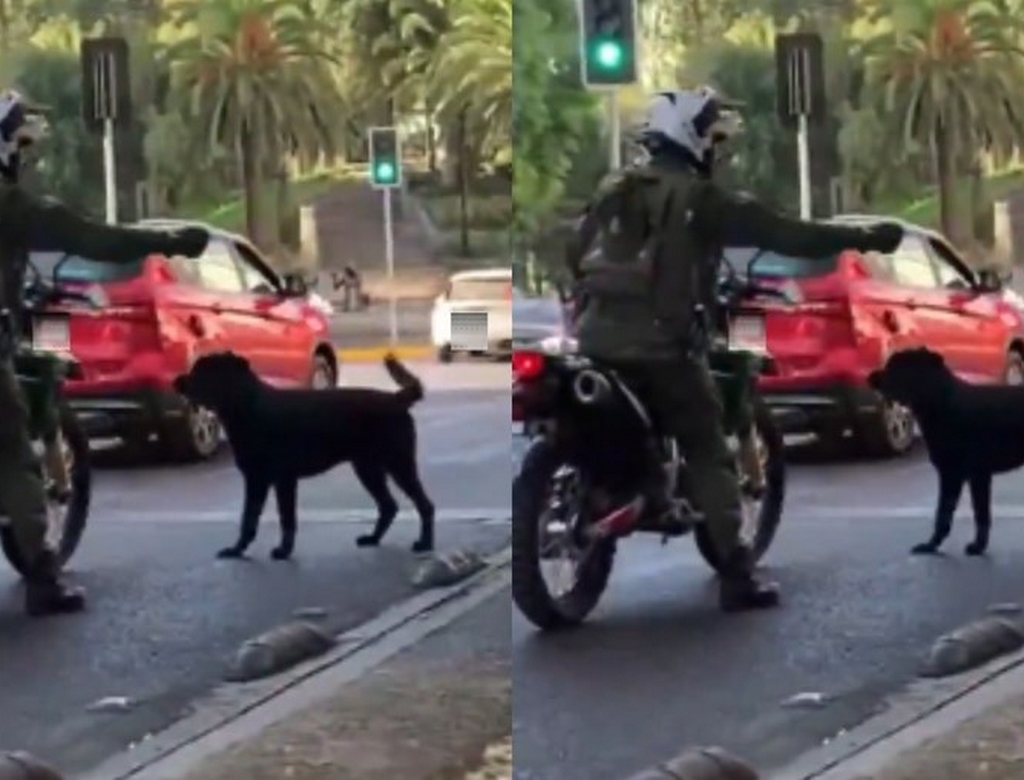Policial (foto Reprodução Redes Sociais) 1