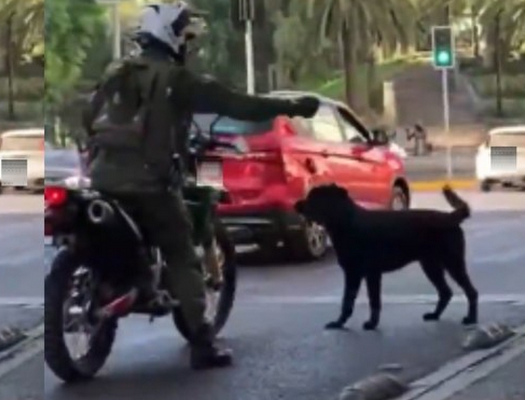 Policial (foto Reprodução Redes Sociais) 2
