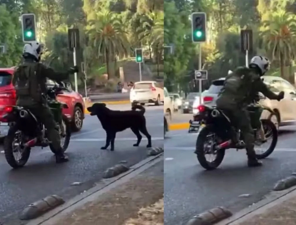 Policial (foto Reprodução Redes Sociais)