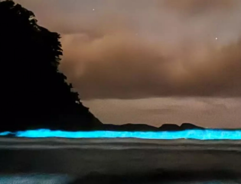 Praia (foto Reprodução Redes Sociais) 1