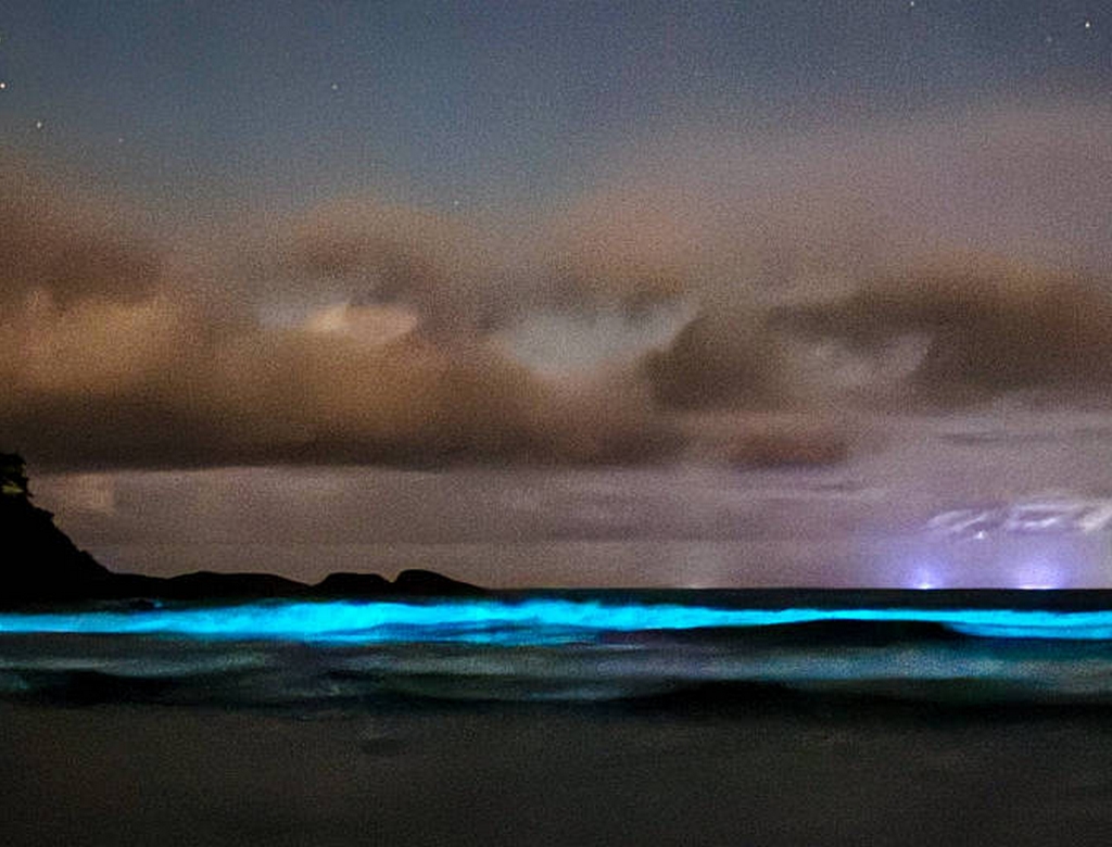 Praia (foto Reprodução Redes Sociais) 2