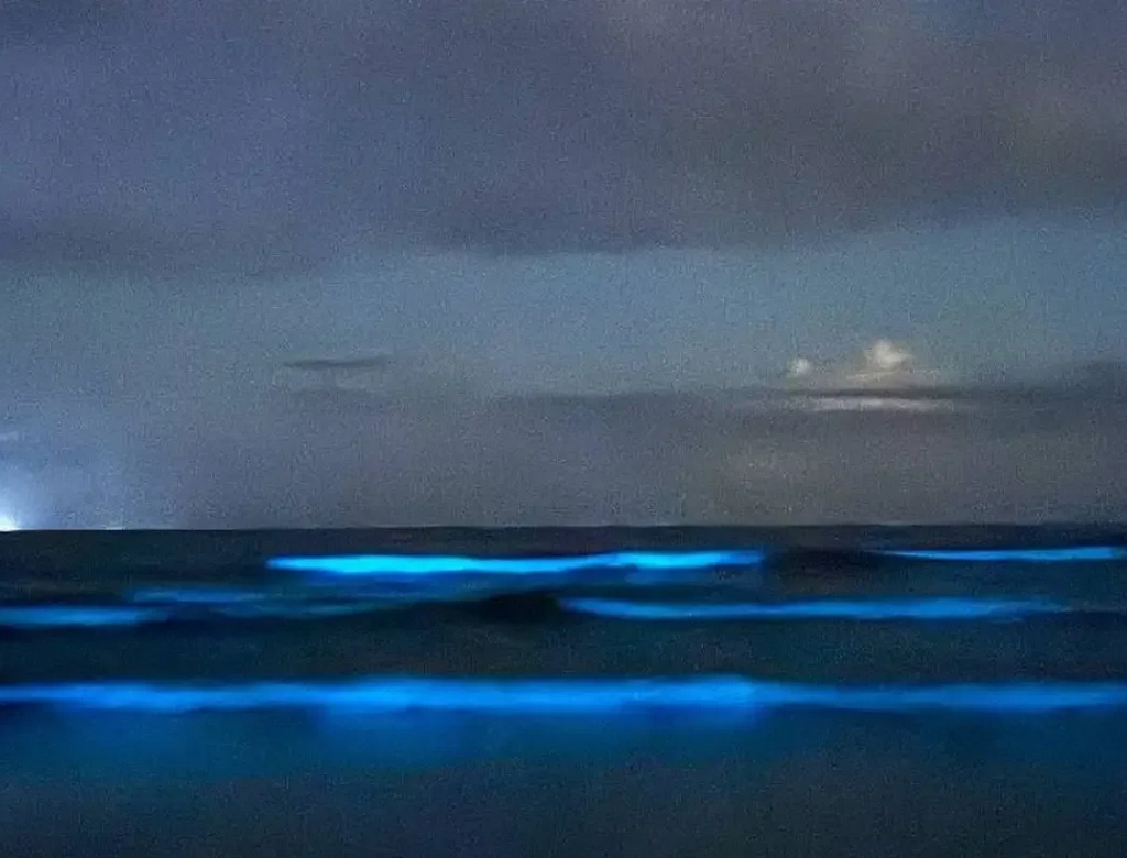 Praia (foto Reprodução Redes Sociais)