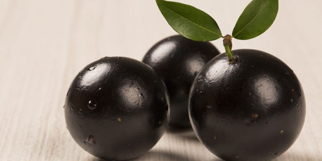 Imagem Jabuticaba(1)