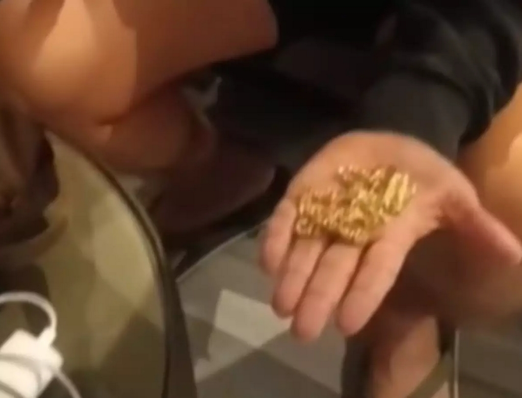 Advogada (foto Reprodução Redes Sociais) 3