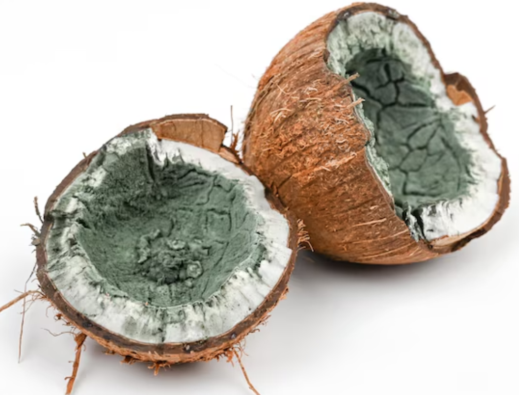 Água De Coco (foto Reprodução Redes Sociais)