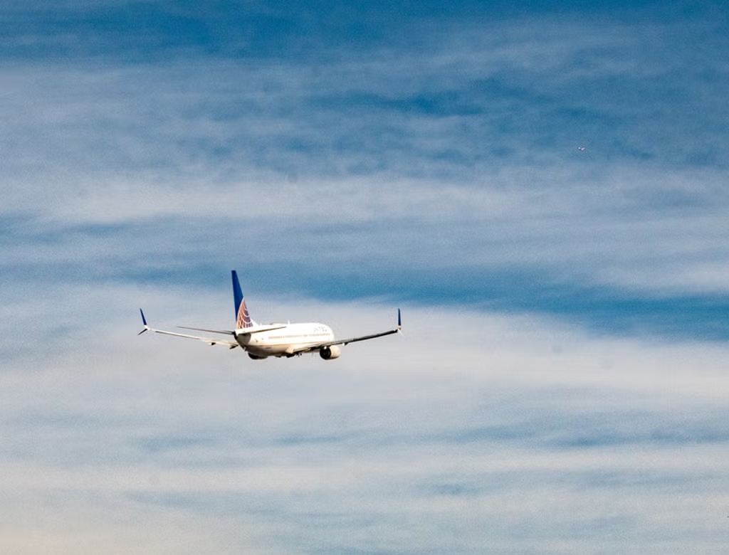 Avião (foto Reprodução Redes Sociais) 3