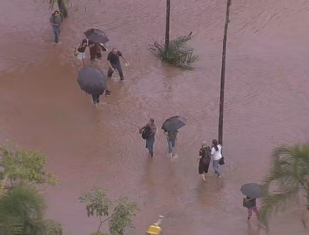 Capivaras (foto Reprodução Redes Sociais) 2