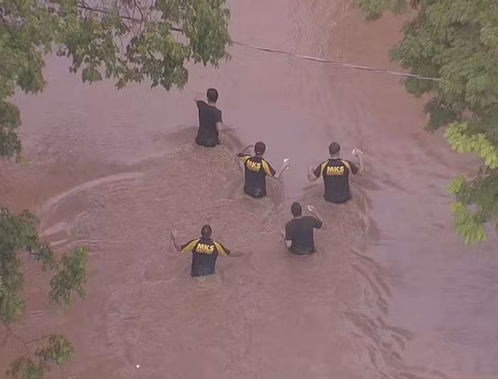 Capivaras (foto Reprodução Redes Sociais) 3
