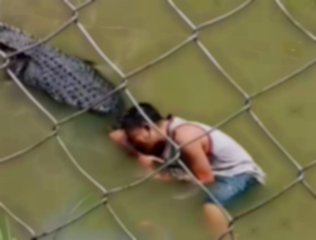 Crocodilo (foto Reprodução Redes Sociais) 1