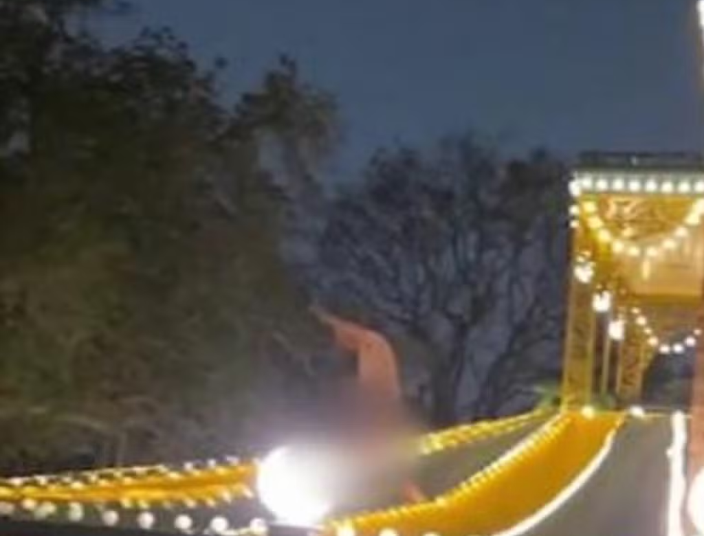 Visitante é preso após circular pelado por atração da Disney (Foto Reprodução Redes Sociais)