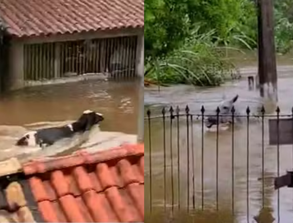 Chuva em Angra dos Reis (Foto Reprodução Redes Sociais)