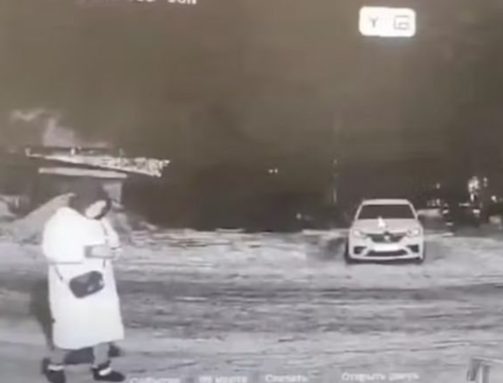 Cabeça de mulher devorada por urso é encontrada (Foto Reprodução Redes Sociais)