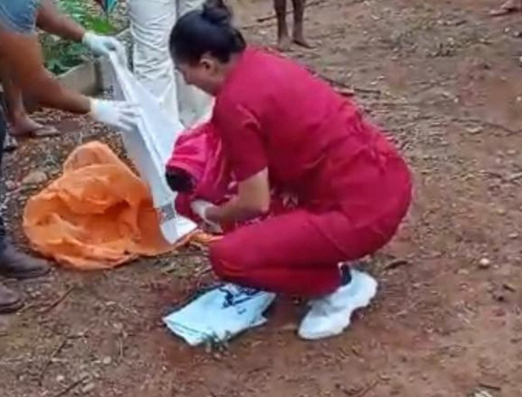 Recém-nascido é atacado por cães após ser abandonado por avós (Foto Reprodução Redes Sociais)