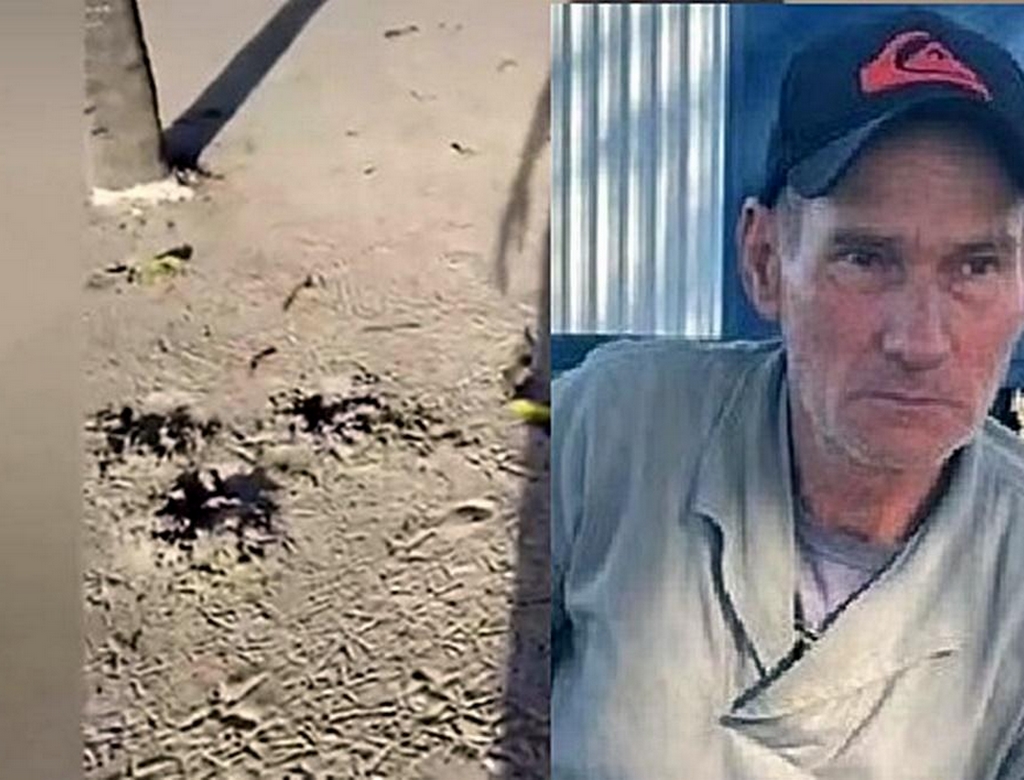 Foto (foto Reprodução Redes Sociais) 4