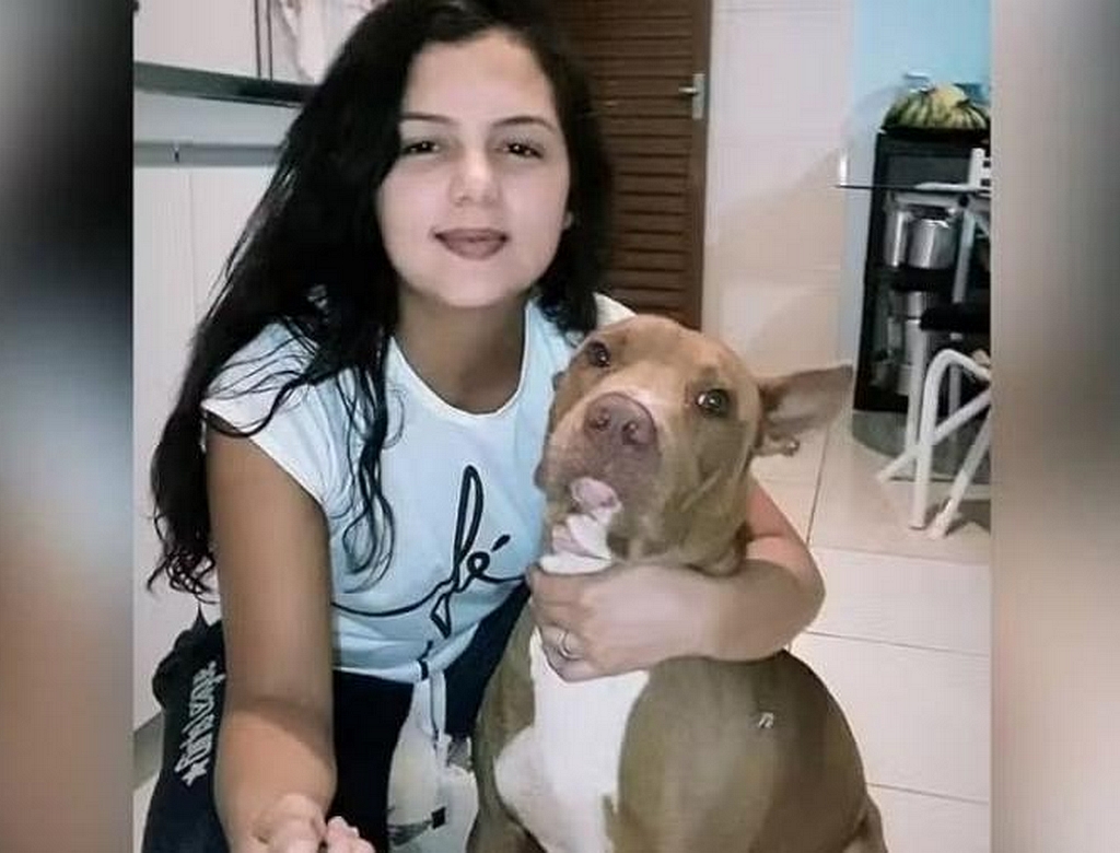 Pitbull (foto Reprodução Redes Sociais) 2