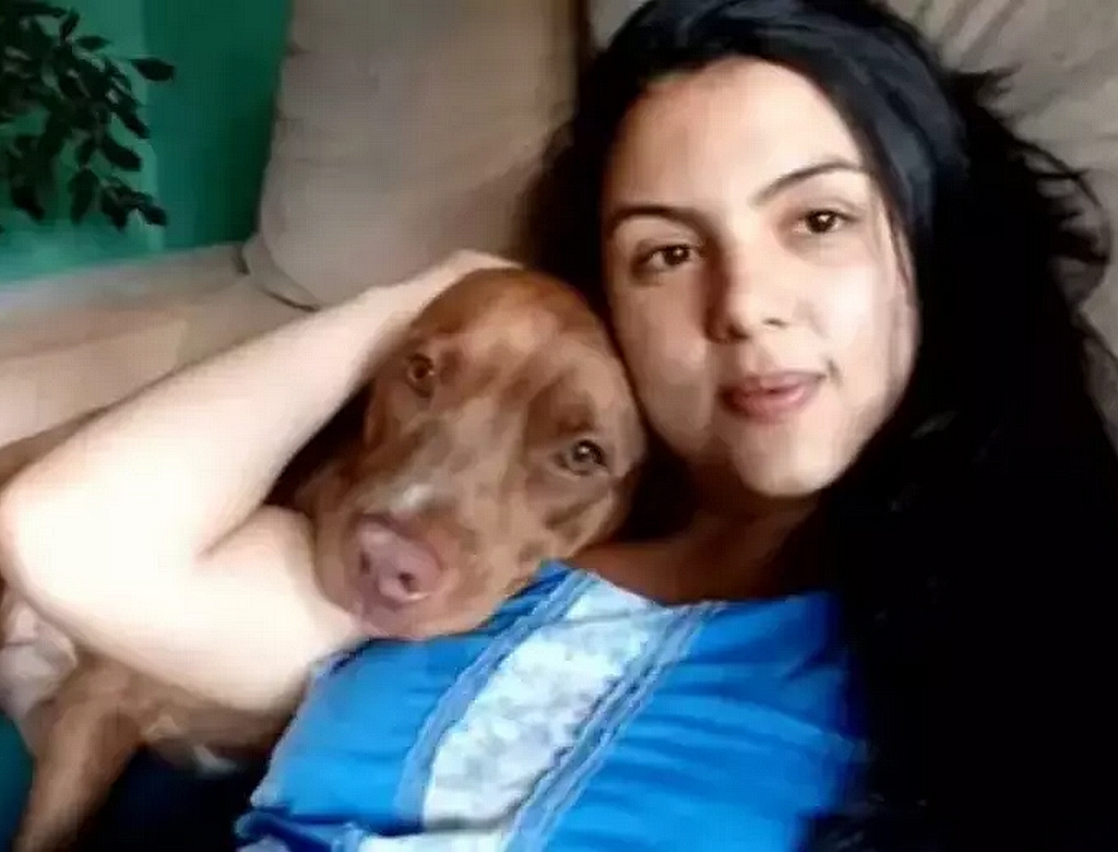 Pitbull (foto Reprodução Redes Sociais)