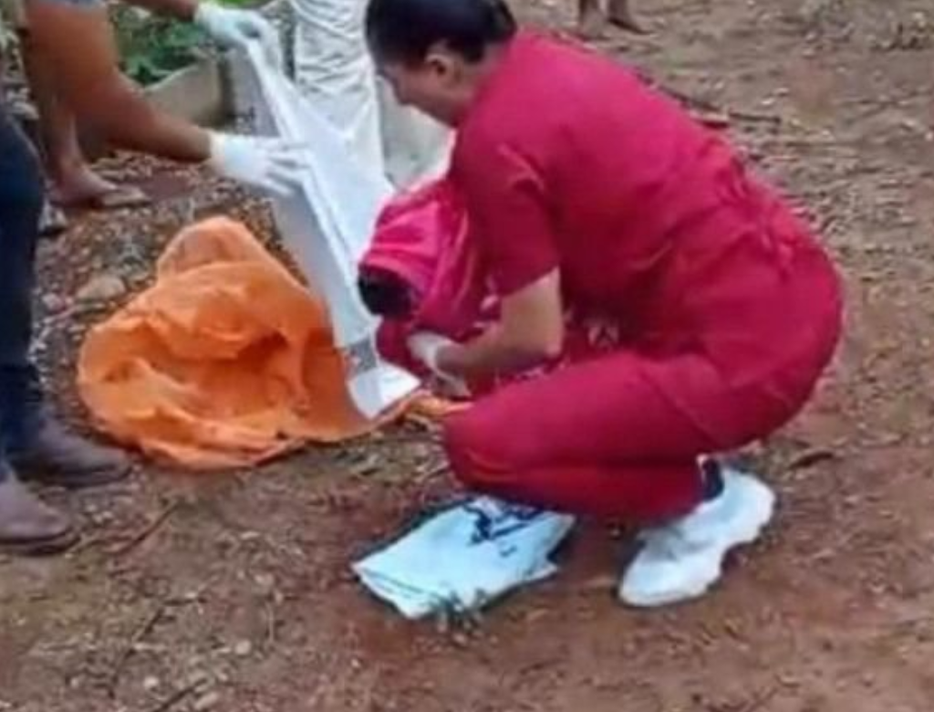 Recém Nascido é Atacado Por Cães Após Ser Abandonado Por Avós (foto Reprodução Redes Sociais)