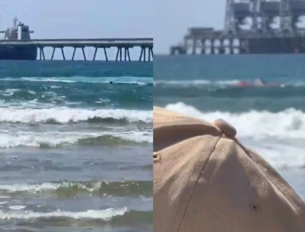 Tubarão Ataca Banhista No Mar De Hadera (foto Reprodução Redes Sociais)