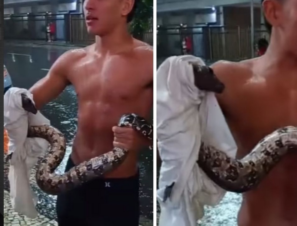 (foto Reprodução Redes Sociais) 8