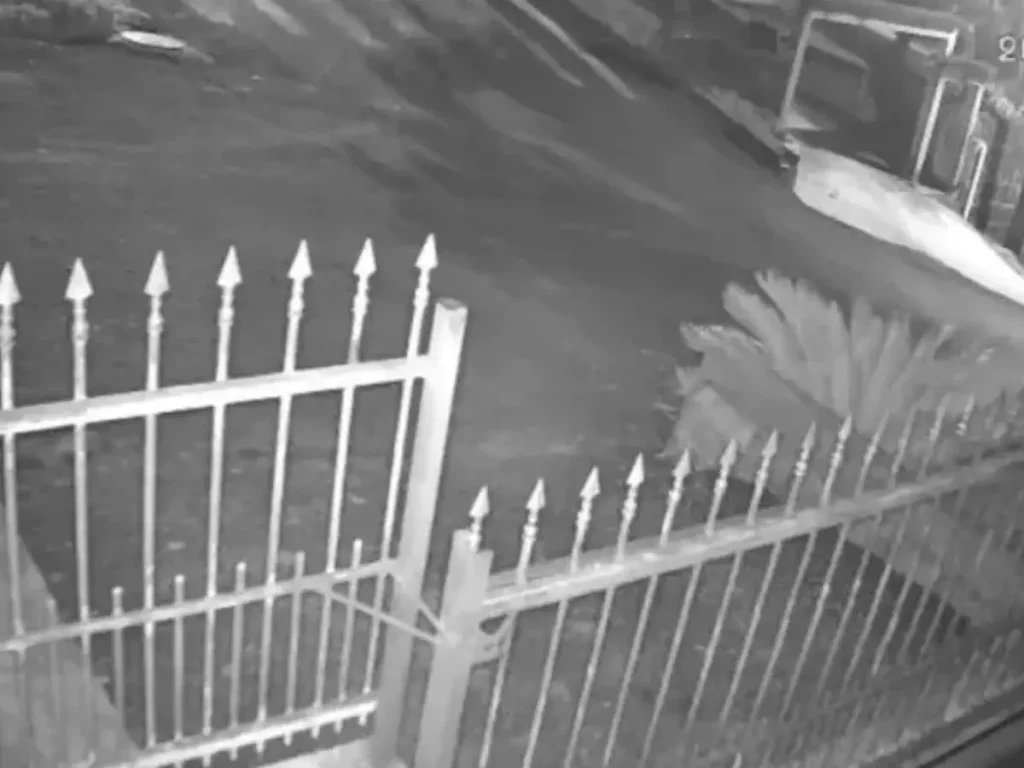 1861840219 Crianca Morre Bicicleta