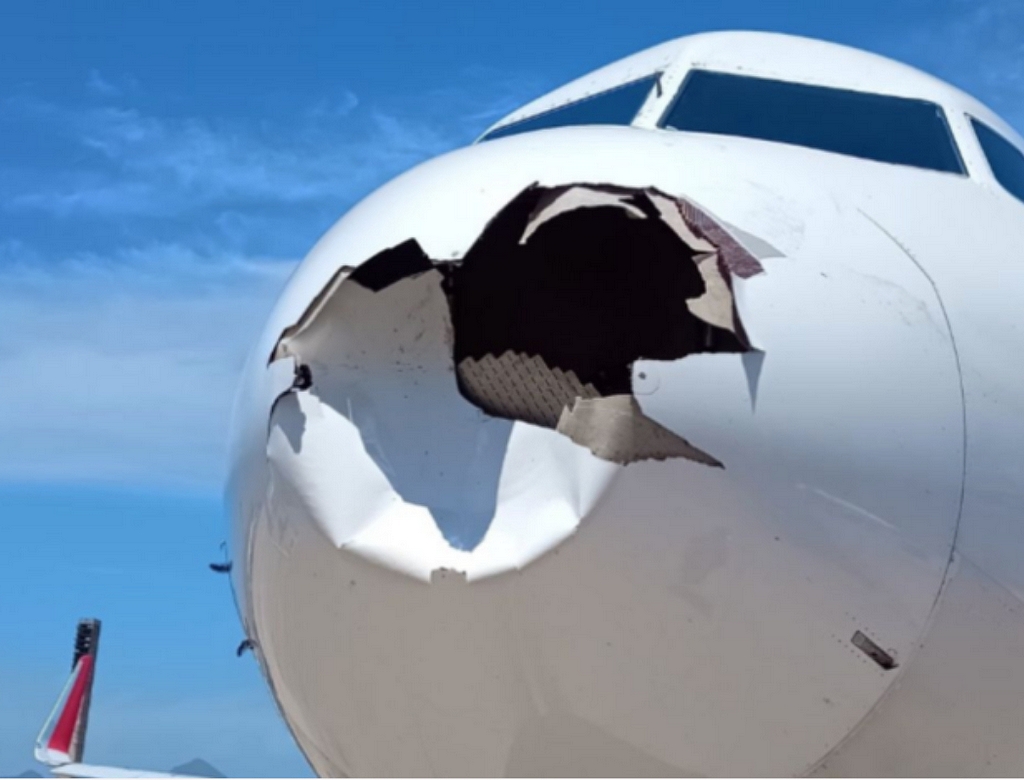 Avião (foto Reprodução Redes Sociais)