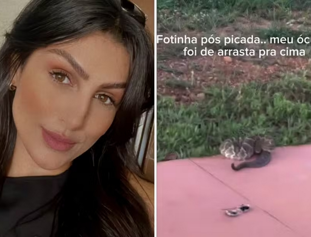 Cobra (foto Reprodução Redes Sociais)