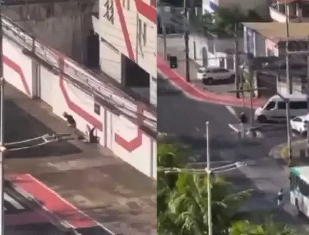 Crime (foto Reprodução Redes Sociais)